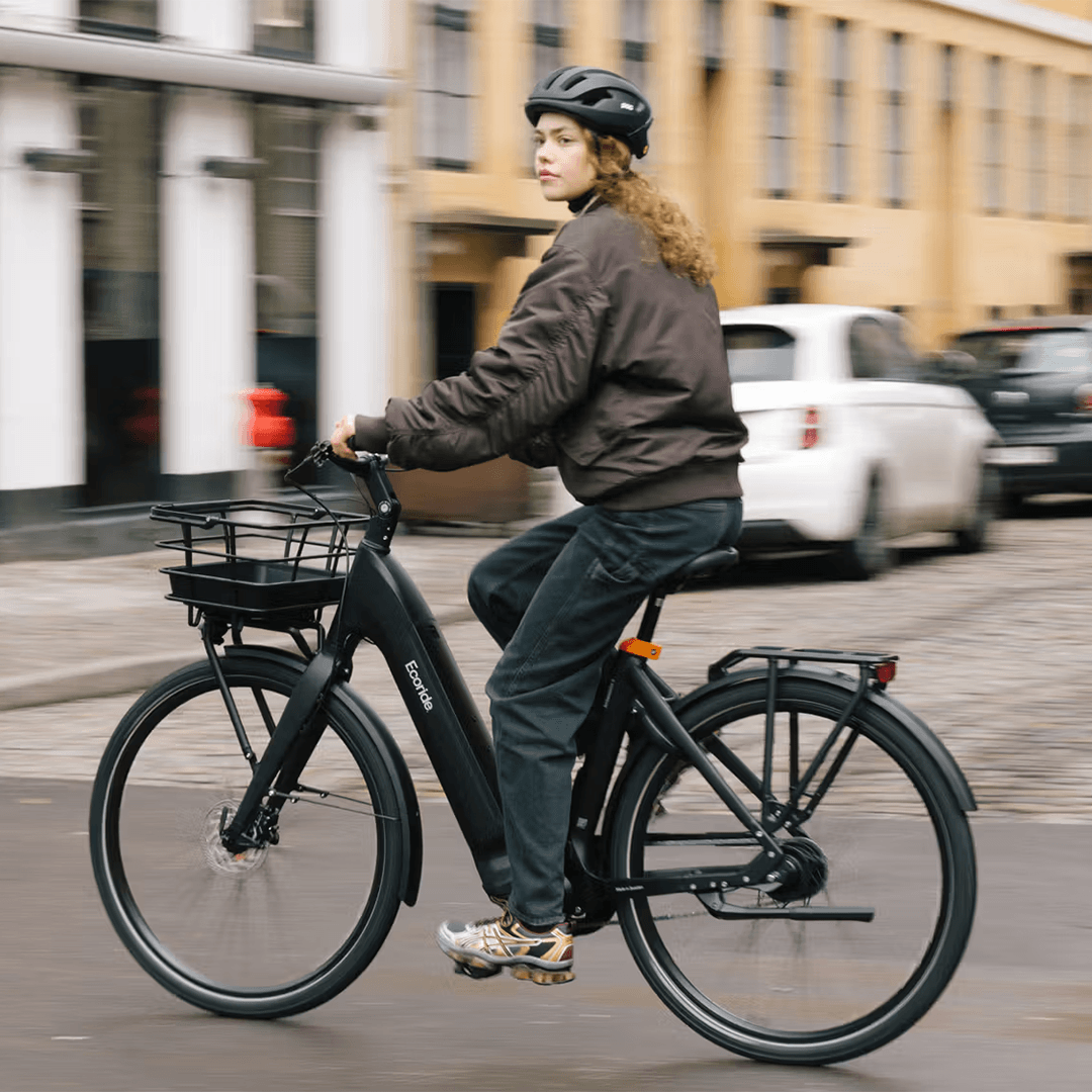 Ecoride Ambassador 4 | Mittmotor | Fotbroms - Bild 4
