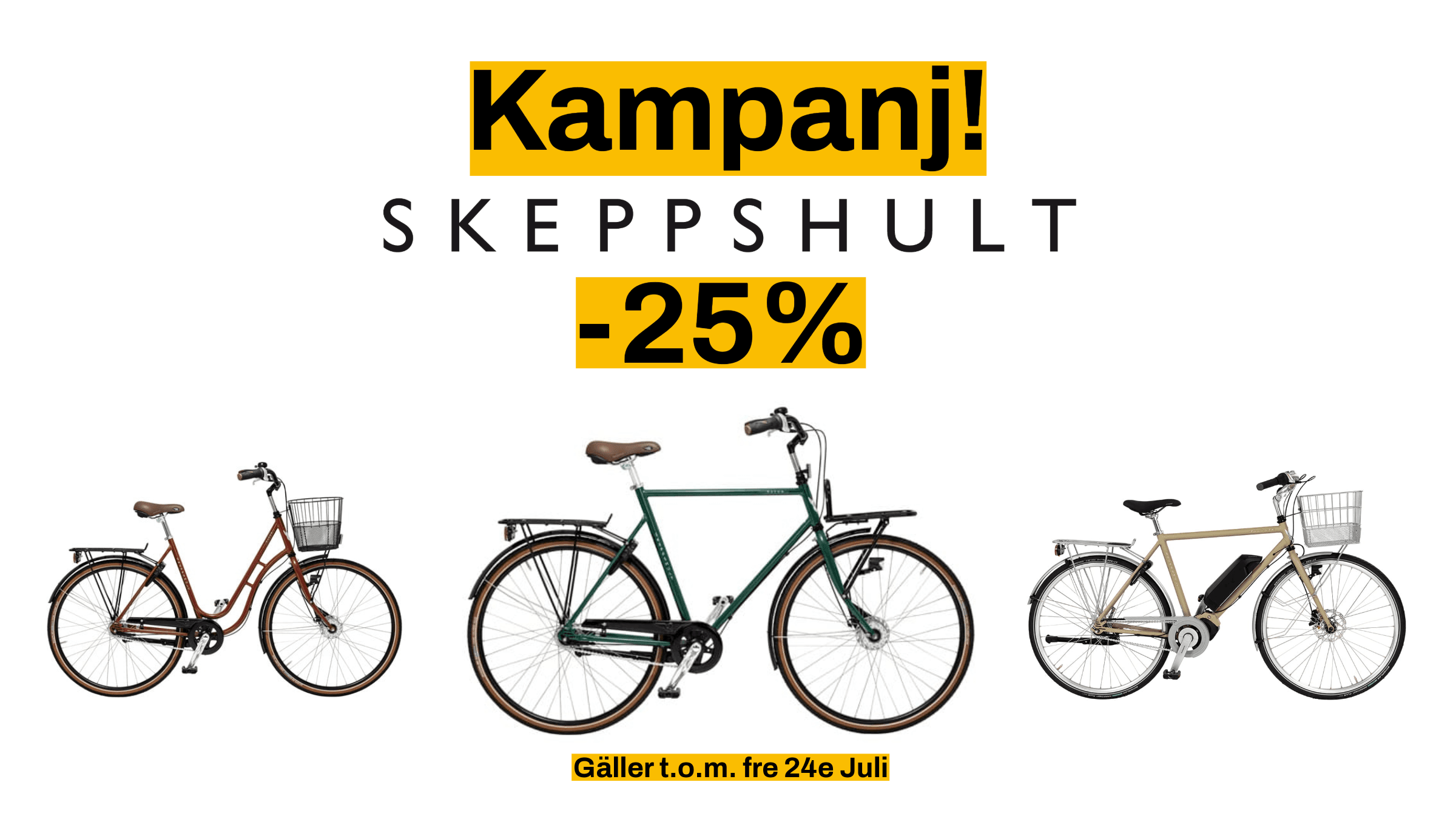Featured image for “kampanj skeppshult”